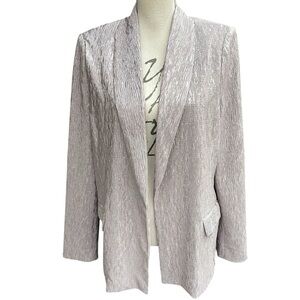 ASTR The Label Pewter Metallic Shimmer Crinkle Ayla Blazer Jacket (L)